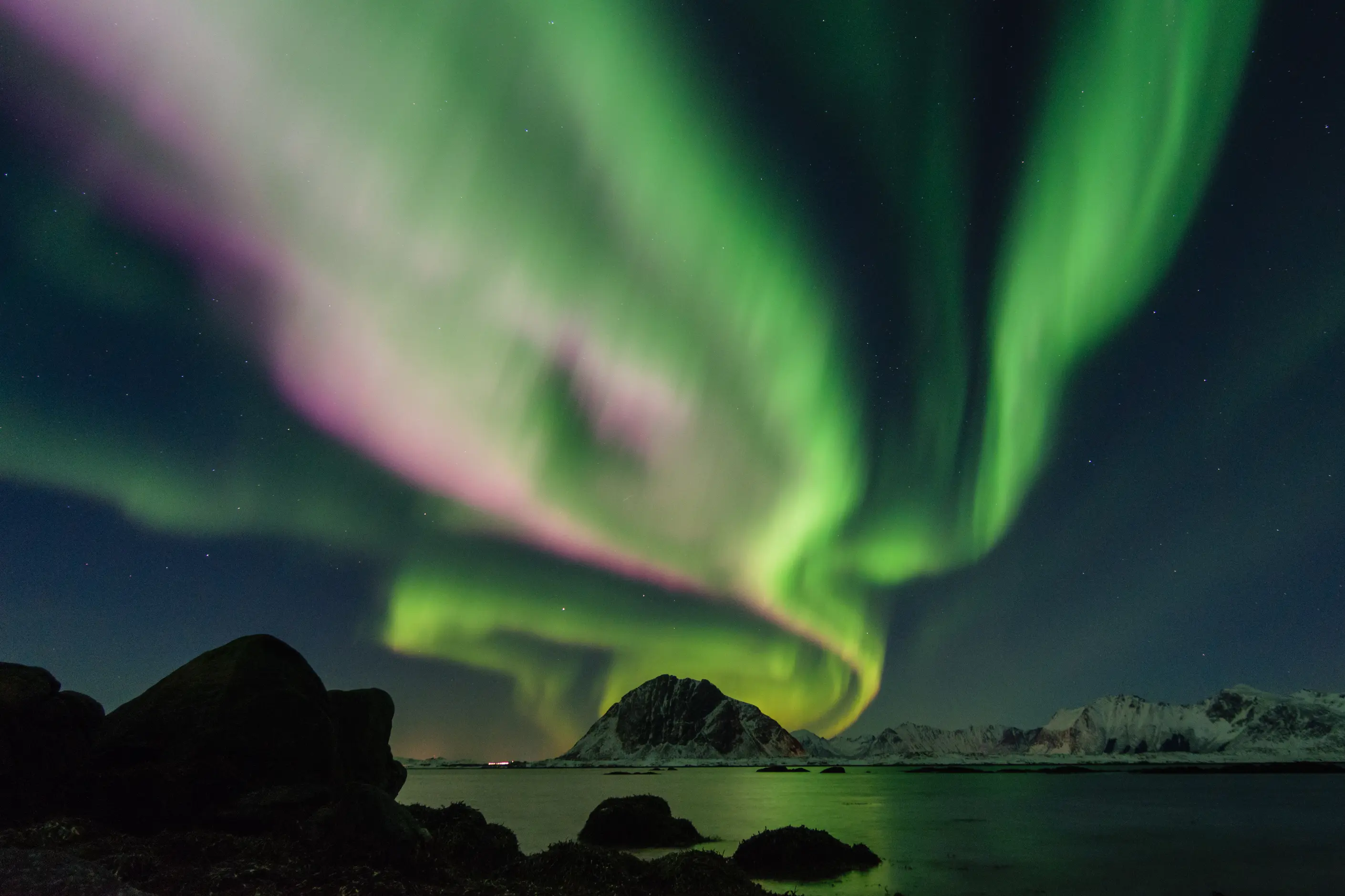 Green and pink aurora curling across a night sky over snow-capped mountains and still water in Lofoten