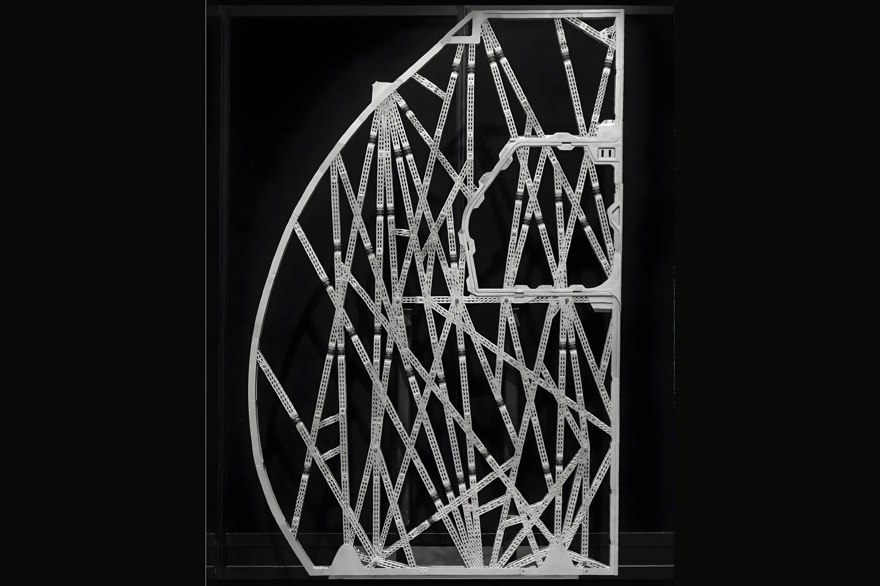 3D printed aircraft cabin partition with a branching bone like lattice structure