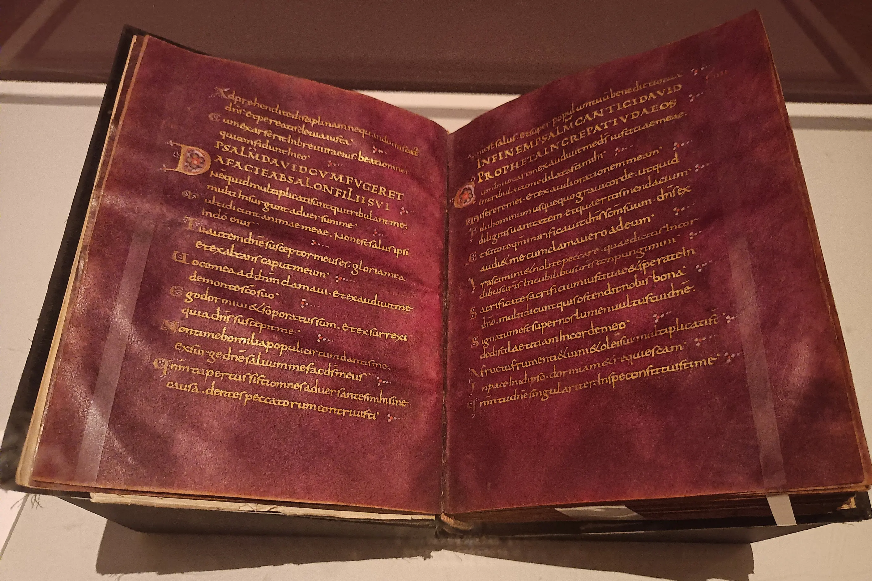Carolingian minuscule script in gold ink on purple dyed vellum